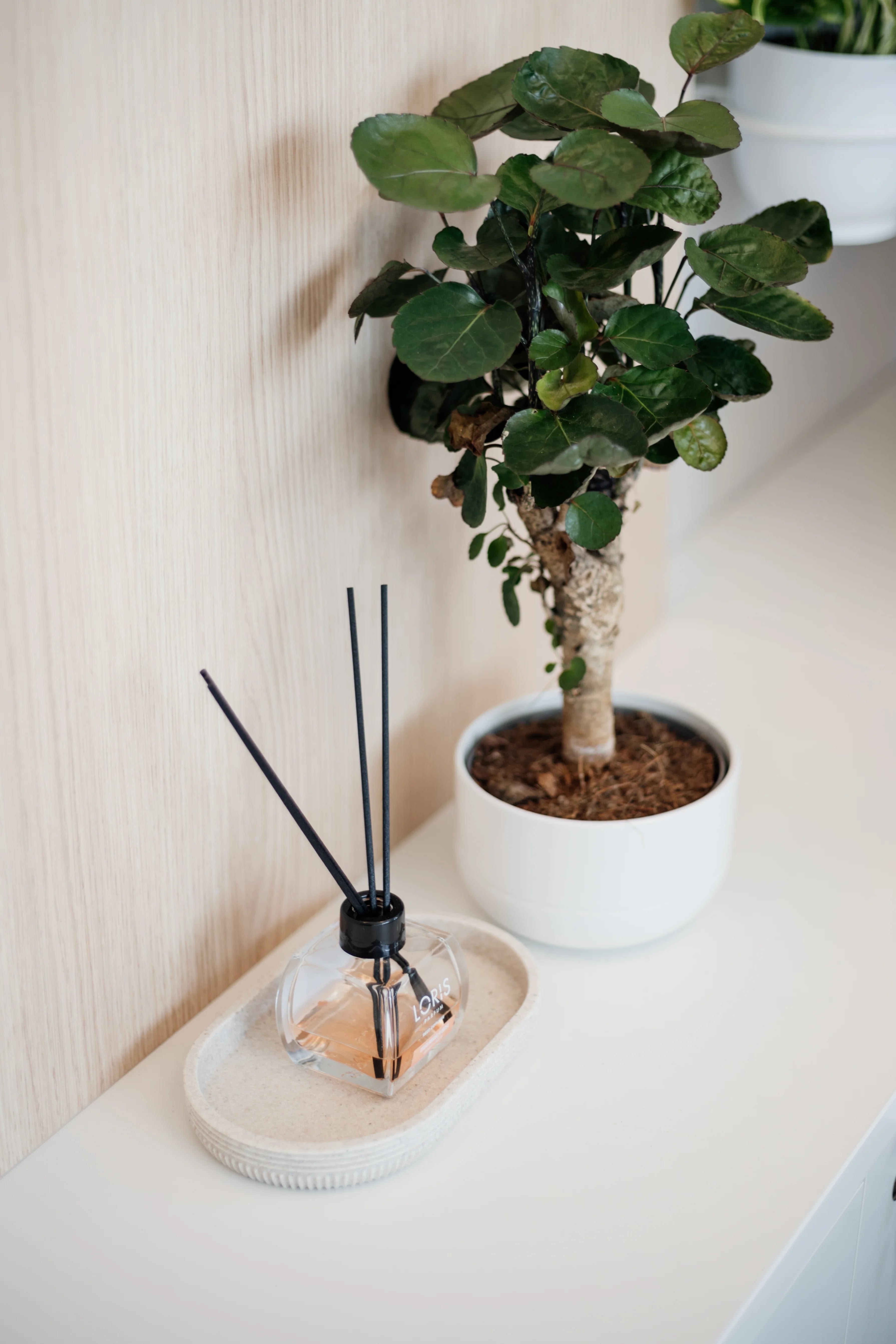 Galeria - zdjęcie 5