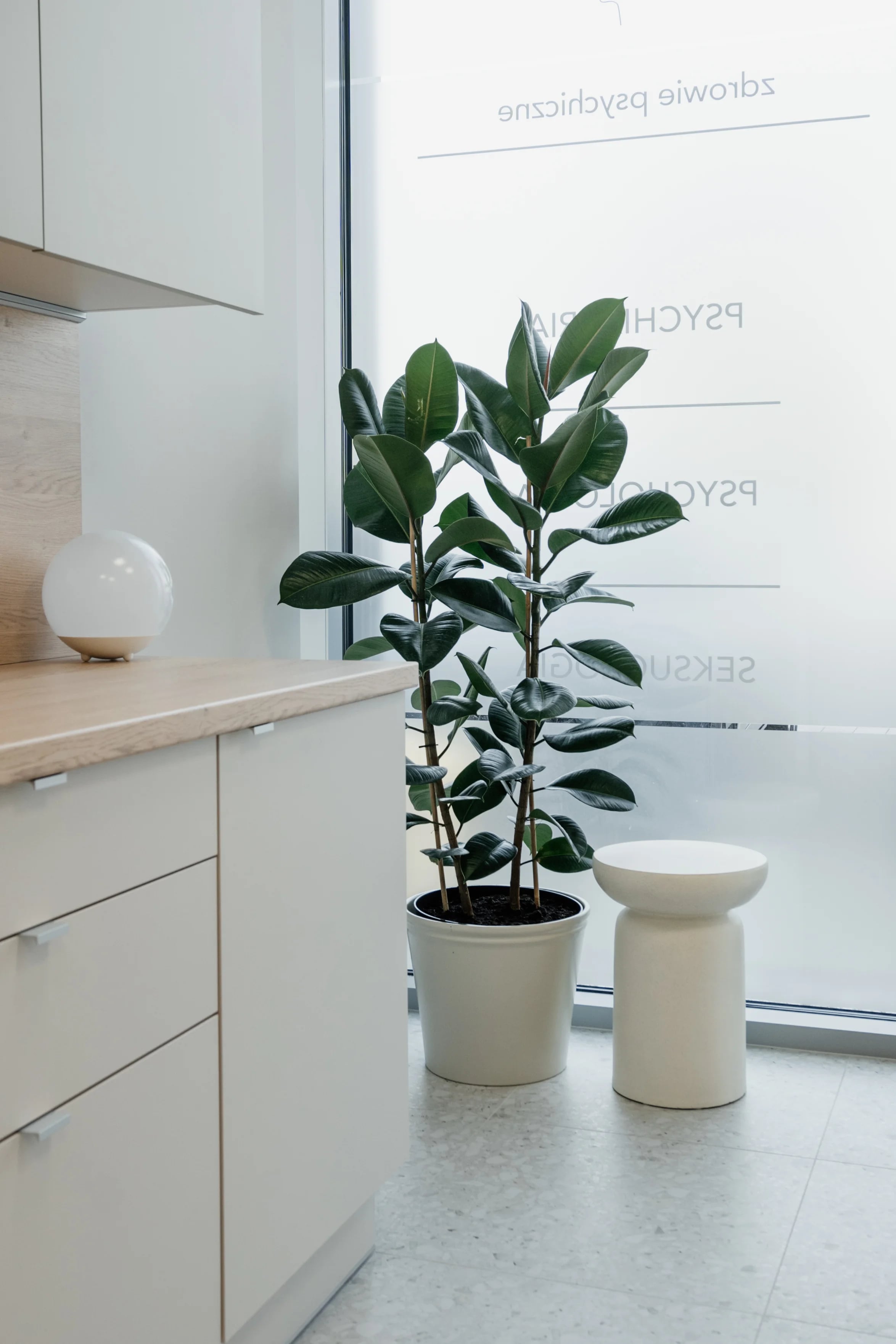 Galeria - zdjęcie 8